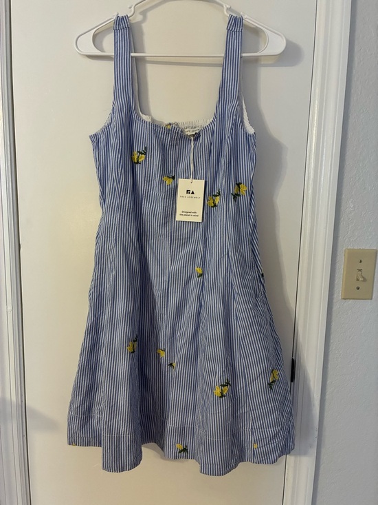 Free Assembly Dresses & Skirts - Women’s Free Assembly Blue Striped Lemon Embroidered Dress